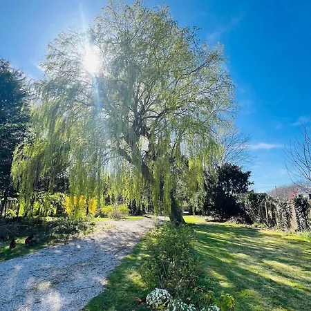 La Madeleine -jacuzzi - 10 Voyageurs *