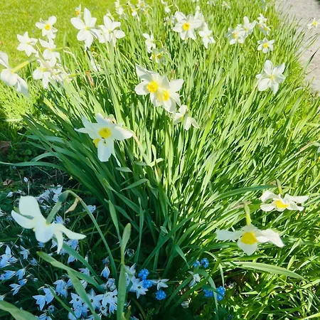 La Madeleine -jacuzzi - 10 Voyageurs Villa